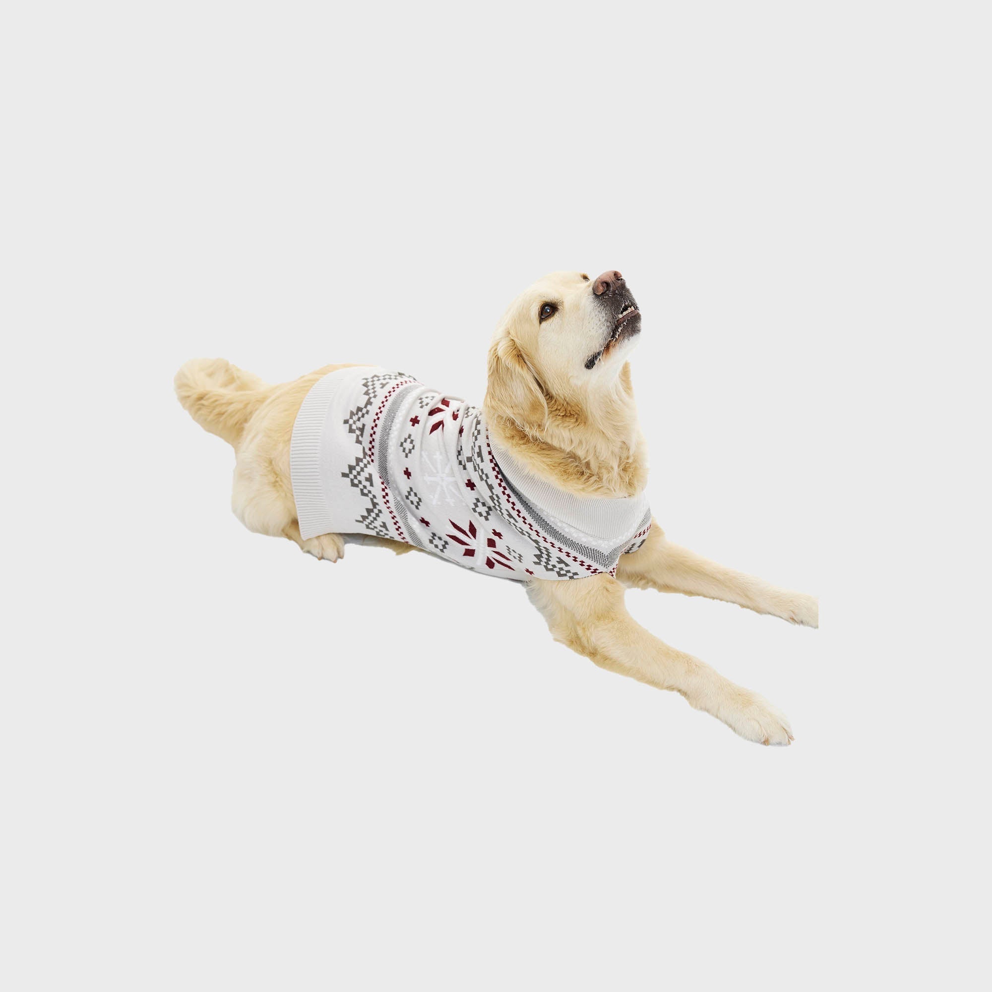 Fancy Hunde-Weihnachtspullover
